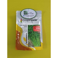 CROP POWER CE 202 Biji Benih Daun Sup Saderi All Black 荷兰全黑 Celery seeds 芹菜种子 100GM