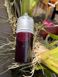 Essen Spesial Ikan Mas Lomba Galapung Ikan Mas Kombinasi 40 Bahan Aroma & Methyl Asam Amino Esen pen