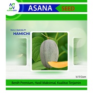 Seeds HAMICHImelon 10 Gram Package - ASANA Seed