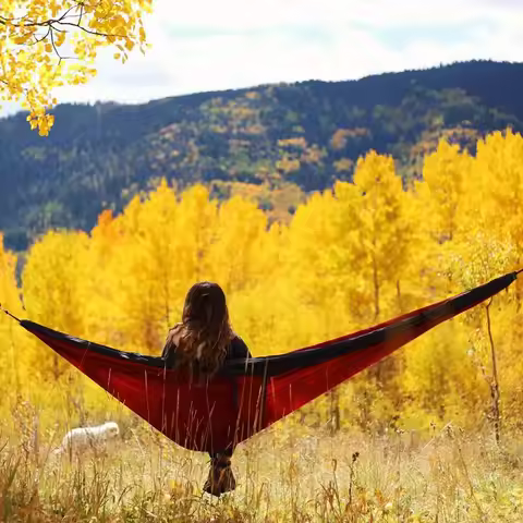Goodwin Nylon Camping Hammock with Straps & Carabiners, Portable Swing Chair for Hiking, Backpacking