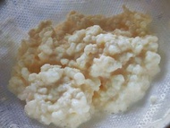 奶克菲爾菌