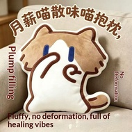 New Style Monthly Salary Meow Emoticon Pack Pillow Cute Cat Cat Confident Angry Emoticon Pillow