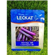50G 332 Leckat F1 Hybrid Eggplant Giant Naga