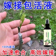 [Ready Stock] Fruit Tree Grafting Promoter Grafting Handy Tool Plant Bonsai Flower Wound Protection Healing Agent Tree Grafting _ Gigi
