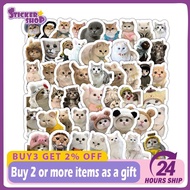 100pcs Fun Cat MEME Cartoon Cute Stickers Toys Stationery Guitar Bicycle Laptop DIY Stickers