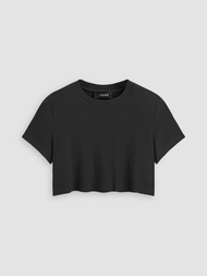 Cider  Round Neckline Short Sleeve Tee