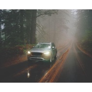 Best Seller DEPO OTO X PHILIPS Ultinon Weather Vision LED H3 3500K Yellow Car Light Bulb