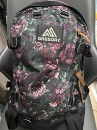 Gregory背囊紫花24L