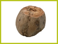 ∜ ➖ ◴ COD BUNOT / BUNOT / COCONUT HUSK