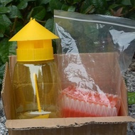 Melon fruit fly needle bee Trap Melon Trap Melon Trap Melon fruit fly needle bee Trap Melon20251127