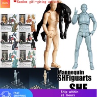 【免运费】Action Figure Mannequin SHF Figures  Body Kun Action Figure Body Chan SHFiguarts Girl  Man Mult