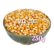 Jagung Popcorn Kering