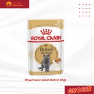 Royal Canin Adult British Shorthair Makanan Kucing Dewasa Wet 85 gr