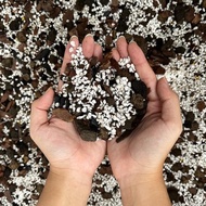 Premium Aroid Mix by The Weed Supplier