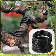 5 Meters AlumInum Bonsai Wire Plant Support Black Bonsai Wire Orchids Wire DIY Plant Shapes Tools