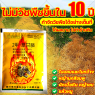 ไม่มีวัชพืชขึ้นใน 10 ปี ยาฆ่าหญ้า50g วัชพืชลีบหมด รากไม้เน่า100%ผลติดทนนานไม่เป็นอันตรายต่อดินและข้า