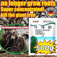 【Buy 1 Get 4 Free    】Racun pokok kayu besar 500g/bag Racun pokok paling kuat Tree killer 10X Concen