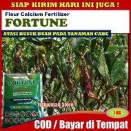 Pupuk Kalsium FORTUNE 1 KG - Obat Busuk Buah Cabe Kriting - Obat Anti Busuk Buah Cabe Cabai - Obat Busuk Buah Cabe Rawit - Obat Buah Cabe Busuk Paling Ampuh - Obat Pencegah Penyakit Busuk Buah Pada Tanaman Cabe Kriting Cabai Rawit