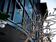 高雄御宿Motel-博愛館Royal Group Motel Buo Ai Branch