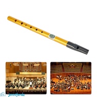 JENNIFERDZ Irish Whistle Flute, 6 Hole Professional Ireland Flute, Musical Accessories Alloy D Key G