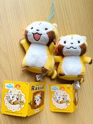 狸貓公仔 Puchi Rascal