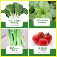 ✸ ◺ ✼ Sale All in 4 in 1 Pack Seeds (Pechay, Mustasa, Okra, Kamatis) Vegetable Garden Pot Outdoor P