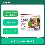 จัดส่งในวันเดียวกัน Antinol DOG (1 กล่อง 60 caps) สุนัข อาหารเสริมบำรุงข้อ ลดอักเสบ จัดส่งจากประเทศไทย จัดส่งที่รวดเร็ว EXP:10/2025