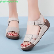 Scholl shoes Women Scholl sandal Flat shoes Scholl shoe Scholl sandal women Scholl women shoes kasut