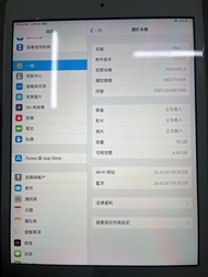 iPad mini 2