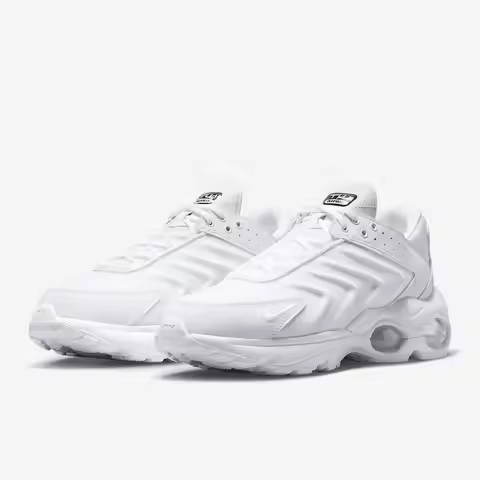 Nike Official Genuine Air Max TW Men's Cushioned Low-Top Sportswear Sneakers DQ3984-102