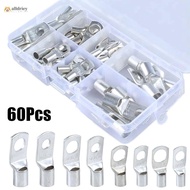 INTOONE 60Pcs Cable Connector Kit, SC Type Bolt Hole Wire Nose Terminal Crimp, Durable Tinned Copper