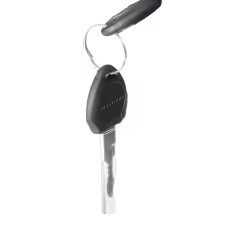 BAOLUJIE A Pair of 2602 E-Bike Keys for 2603/2602/DM01 Electric Bicycle(Shipped from China)
