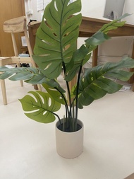 仿真 綠色 植物 盆栽 連花盤 侘寂風 擺設 客廳 裝飾 室內 大葉 龜背芋 竹 ( muji 風格 )