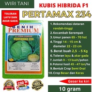 (-) Benih Kubis Jumbo Pertamax 234 (Pertumbuhan Maksimal) kemasan 10 gram | Setipe Green Nova, Solid
