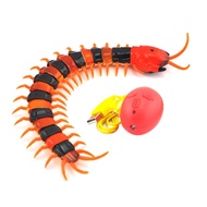 【CC】 Electric Infrared Centipede Insect Rechargeable Tricky Dog