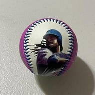 Manny Ramirez 曼尼 個人肖像 LOGO球 (全新) 超級絕版 義大犀牛 CPBL 中華職棒 MLB 紅襪