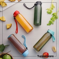 Tupperware | Lohas Flask 750ml