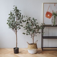 Premium Artificial olive tree eucalyptus tree banana tree skybird tree plant