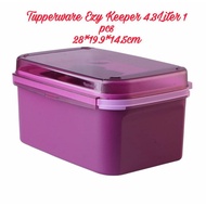Ezy Keeper 4.3 L Tupperware, Multifunctional Storage Box