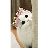 Brand XX Cat Plushie Cat Toy