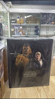 全新 Hottoys MMS376 Han Solo And Chewbacca Set Star Wars Starwars 星球大戰 韓 索羅 朱兒