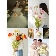 Giant Poppy Flower Large Poppy Flower PoppyBIG