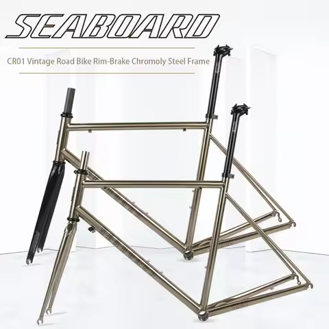 Seaboard CR01 Road Bike Steel Frame V01 Upgraded Version Brushed Silver with Carbon Fiber Front Fork