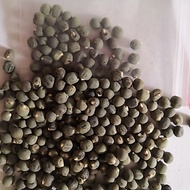 5 ounces of green okra seeds