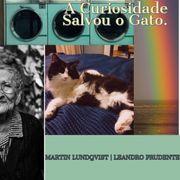 Curiosidade Salvou o Gato., A Martin Lundqvist