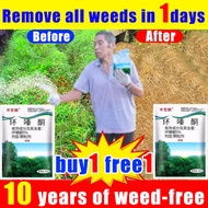 Remove all weeds in 3 days Grass Killer 500g/bag Weed Killer racun rumput cepat mati Racun rumput ma