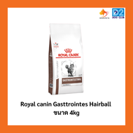 Rayal canin Gasttrointes Hairball 4kg อาหารแมว บำรุง ผิวหนัง ป้องกันการเกิดก้อนขน 4kg