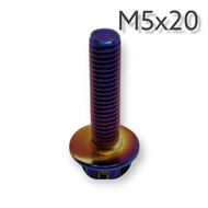 น็อตแต่งไทเททองสแตนเลส 304 M5 M6 M8