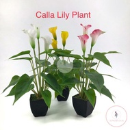 Artificial Real Touch Latex Calla Lily  Plant /  Artificial  Real Touch Latex Mini Anthurium Plant / Pokok hiasan