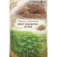 Super cassava seeds, butter cassava, elephant cassava